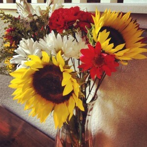 happy little flowers just so I can show you how much I love the light in the new house.